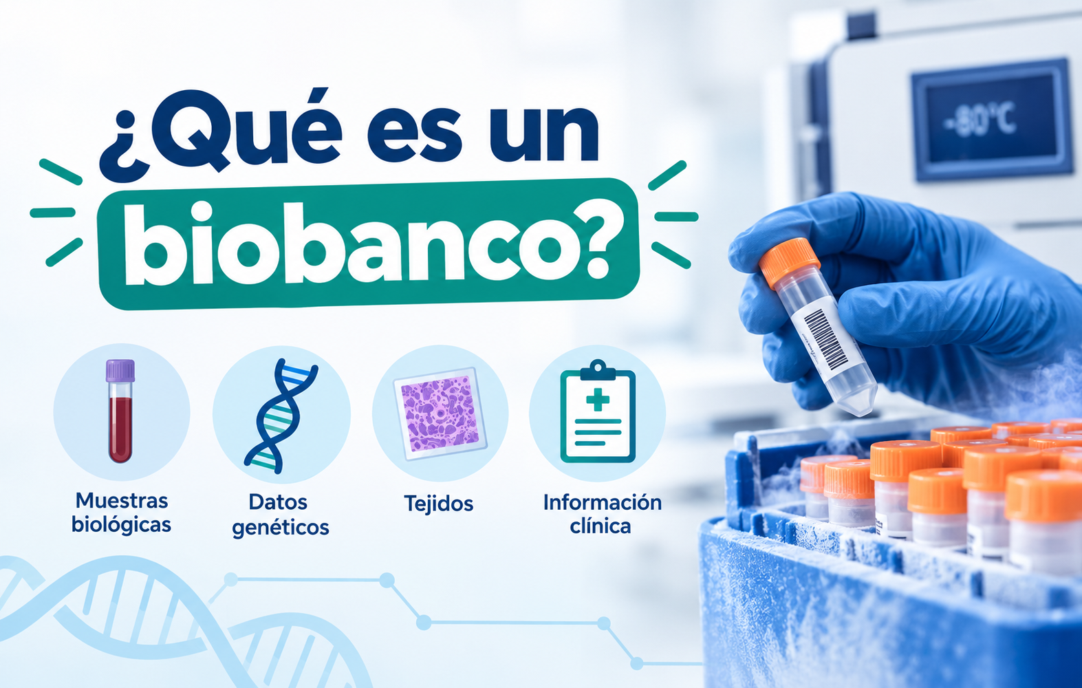 Infografía de proyectos activos